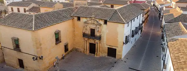 Palacio de Salvatierra